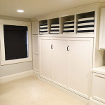 Basement Remodel with Built-ins